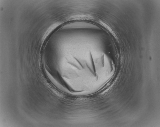 X0000076091277200610152309