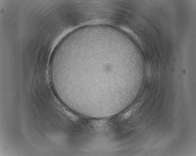 X0000076091278200610152309