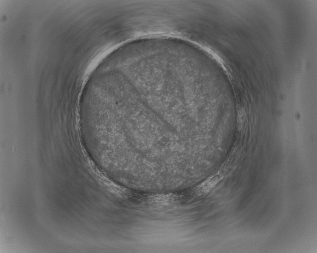 X0000076091279200610152309