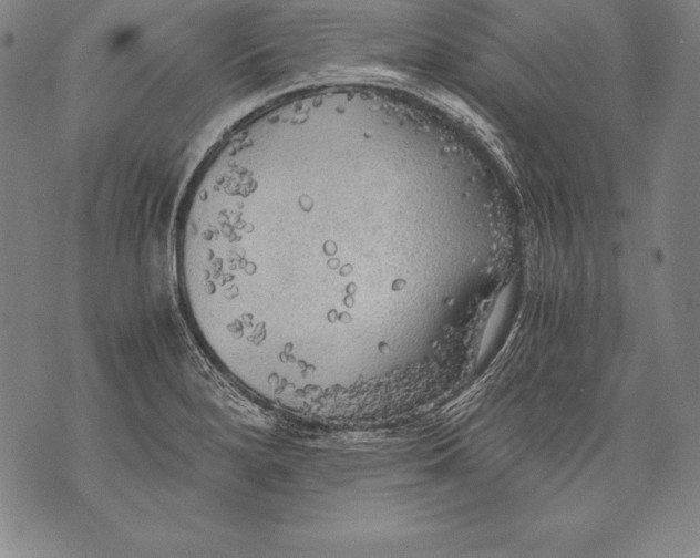 X0000076091280200610152309