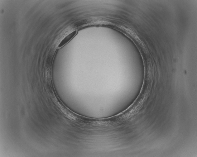 X0000076091281200610152309