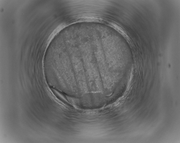 X0000076091283200610152309