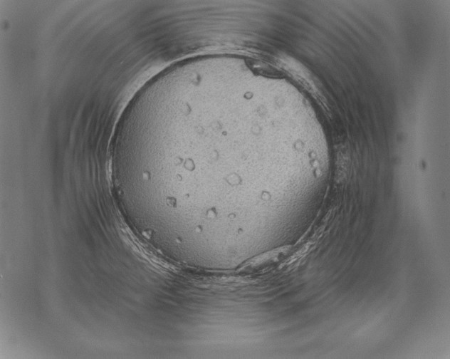 X0000076091284200610152309