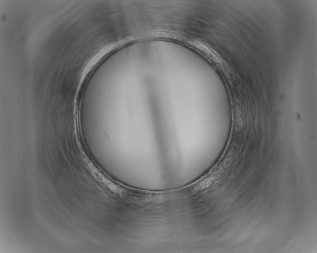 X0000076091286200610152309