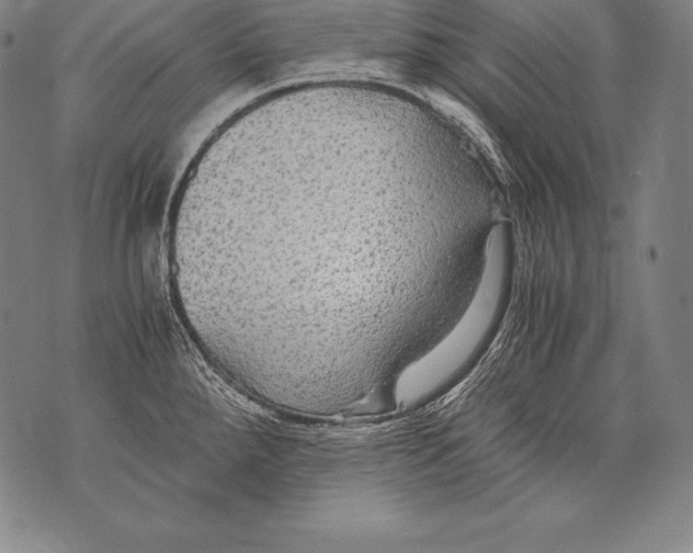 X0000076091288200610152309