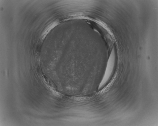 X0000076091289200610152309