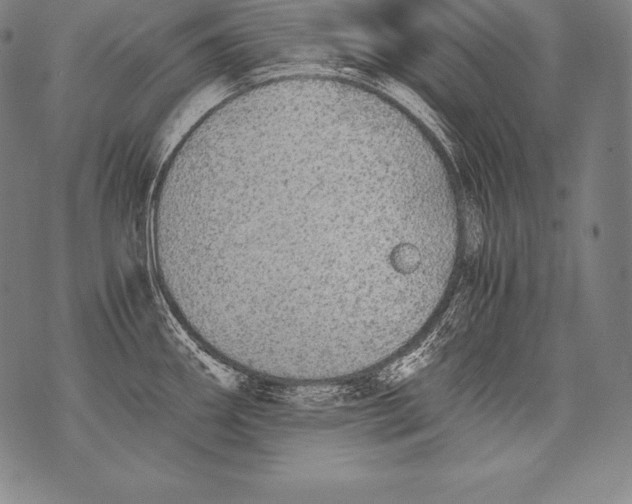 X0000076091290200610152309