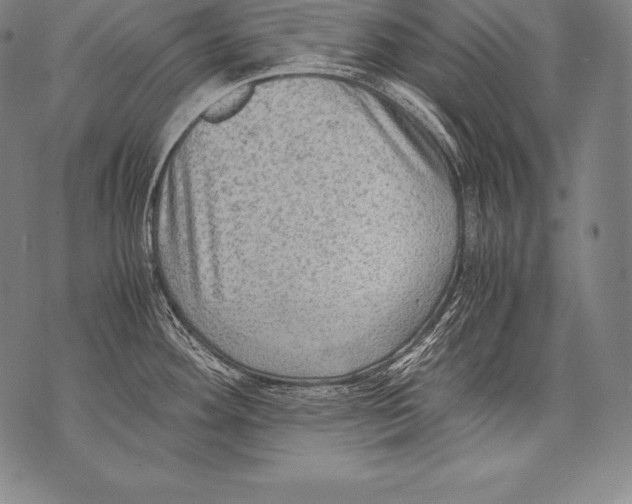 X0000076091292200610152309