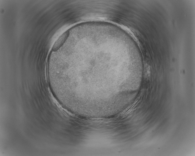 X0000076091295200610152309