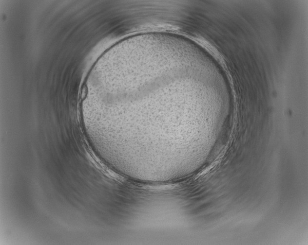 X0000076091296200610152309