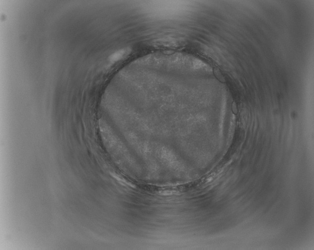 X0000076091297200610152308