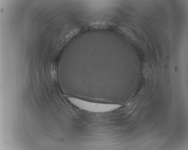 X0000076091298200610152308