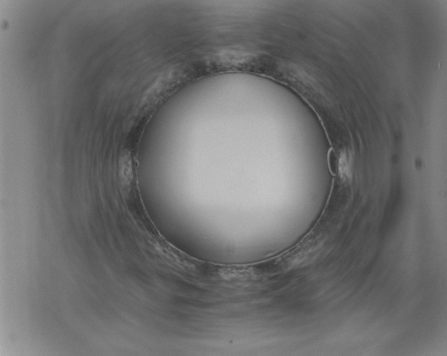 X0000076091299200610152308