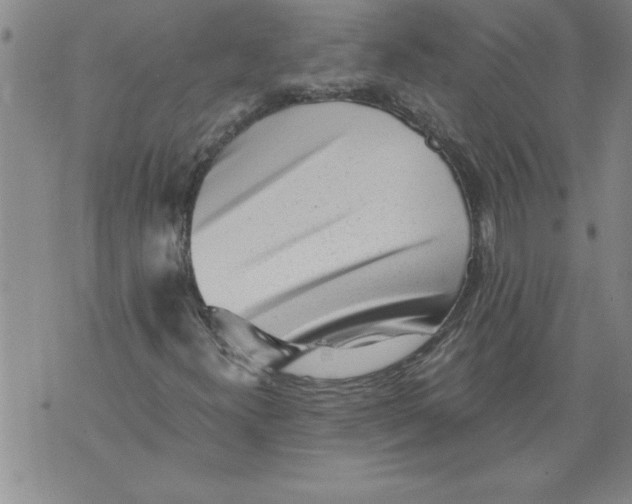 X0000076091300200610152308