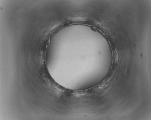 X0000076091301200610152308