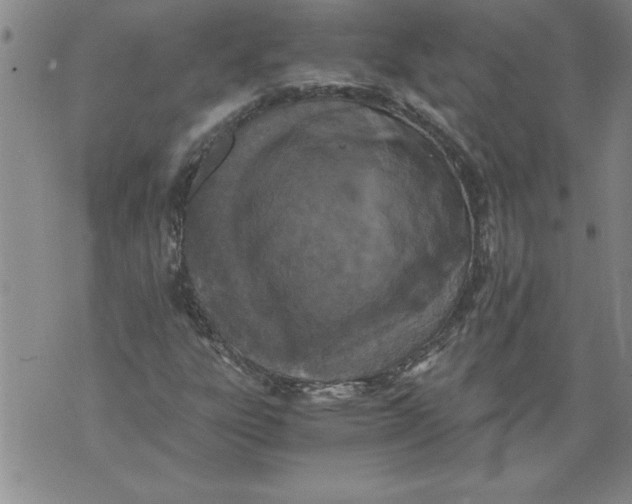 X0000076091303200610152308