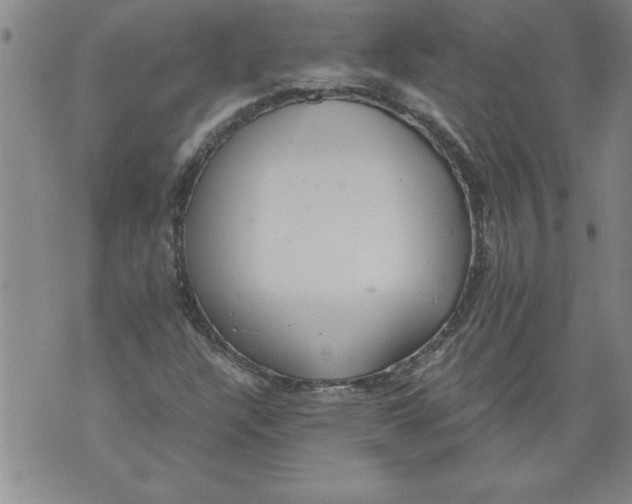 X0000076091304200610152308