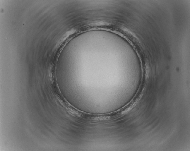 X0000076091305200610152308