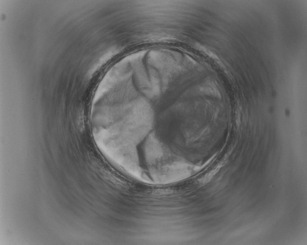 X0000076091306200610152308