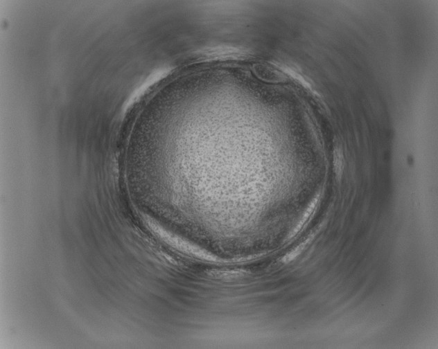 X0000076091309200610152308