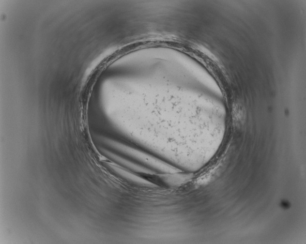 X0000076091310200610152308