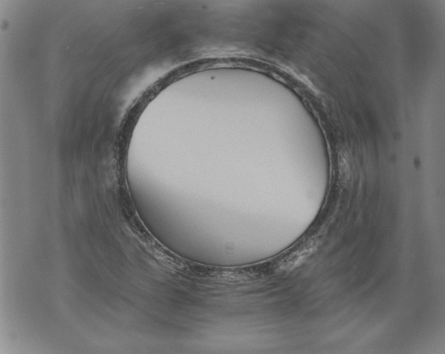 X0000076091311200610152308