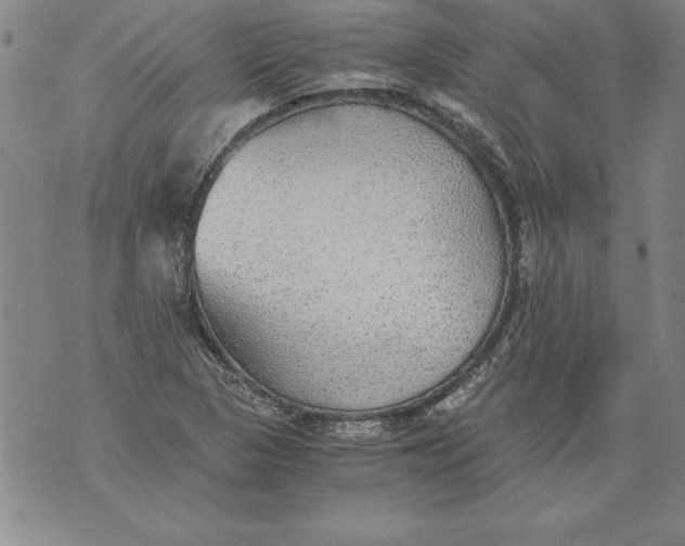 X0000076091313200610152308