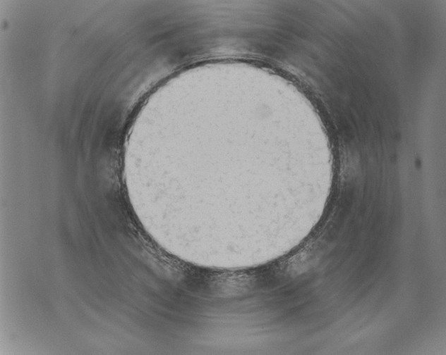 X0000076091314200610152308