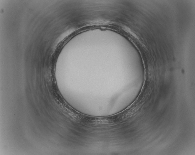 X0000076091315200610152308