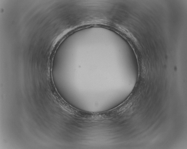 X0000076091316200610152308