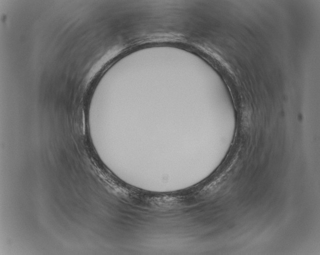 X0000076091317200610152308