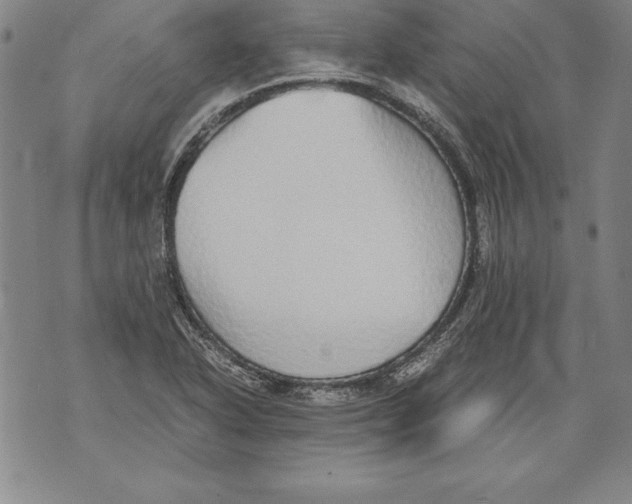 X0000076091318200610152308