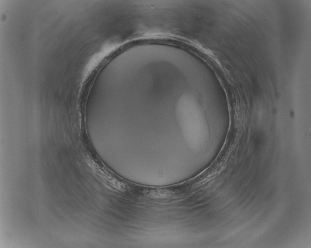 X0000076091319200610152308