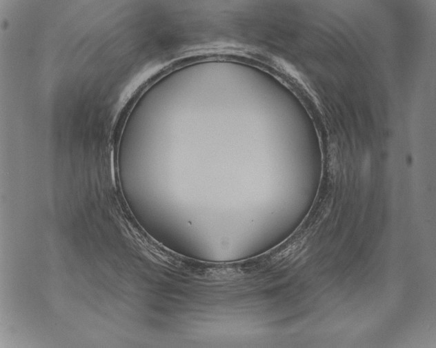 X0000076091320200610152308