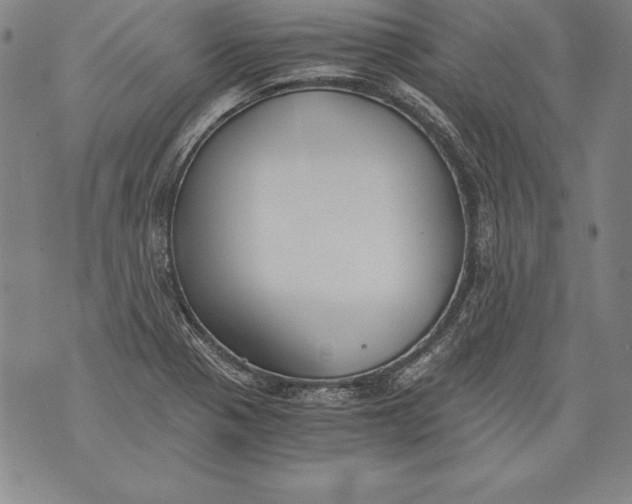 X0000076091321200610152308