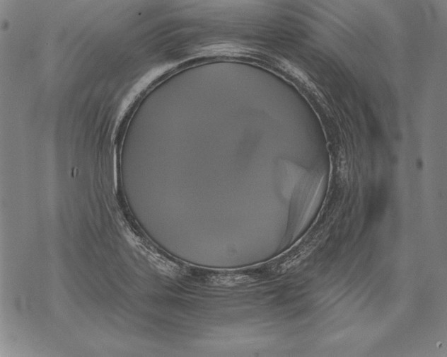 X0000076091323200610152308