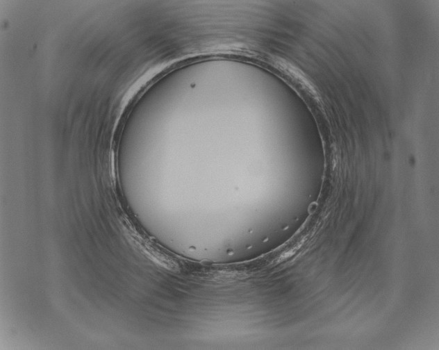 X0000076091324200610152308