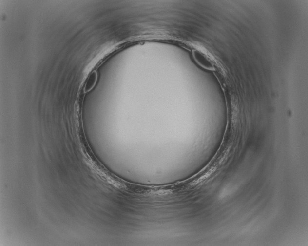 X0000076091325200610152309