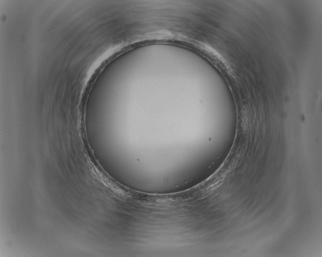 X0000076091326200610152309