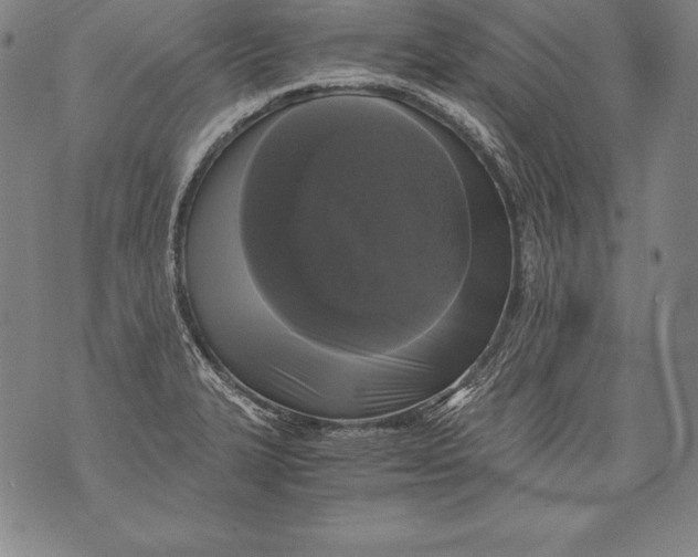 X0000076091327200610152309