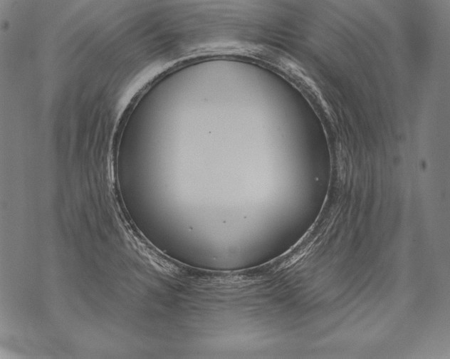 X0000076091328200610152309