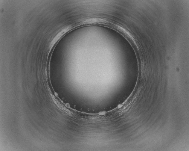 X0000076091330200610152309