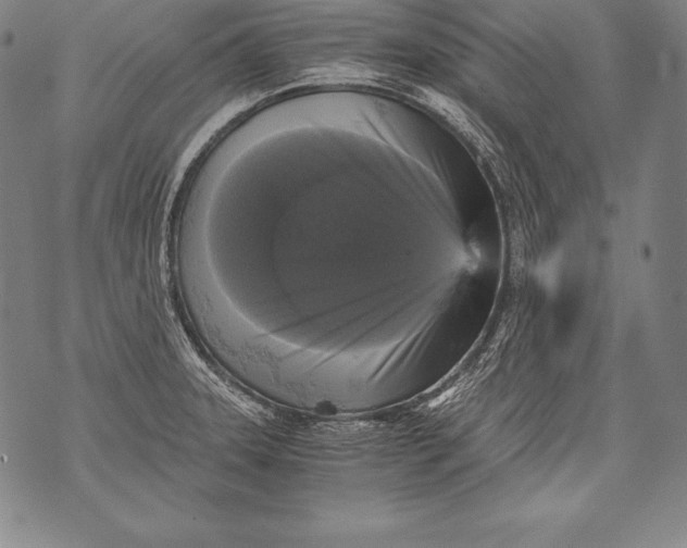 X0000076091331200610152309