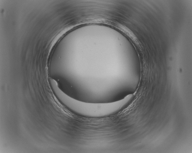 X0000076091332200610152309