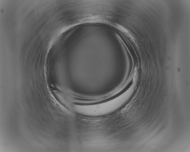 X0000076091334200610152309