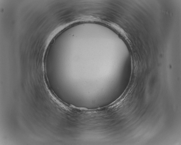 X0000076091335200610152309