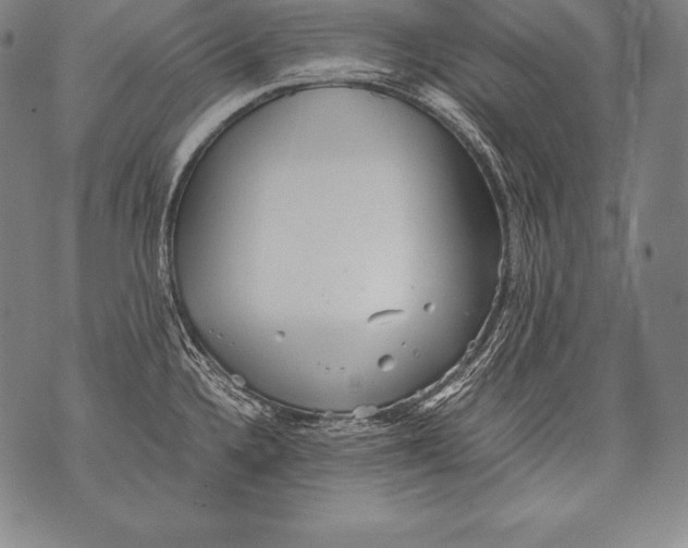 X0000076091336200610152309