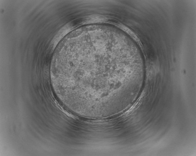 X0000076091337200610152309