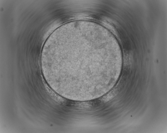 X0000076091338200610152309