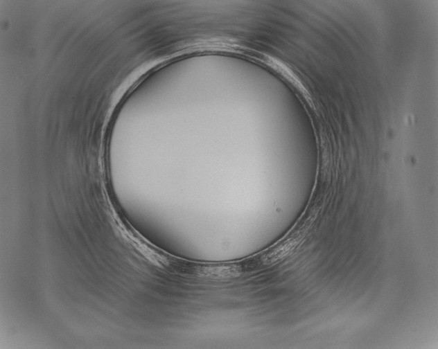 X0000076091339200610152309